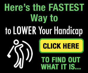 Short Swing Maximizer